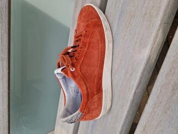 Van Bommel sneakers maat 40 beschikbaar voor biedingen