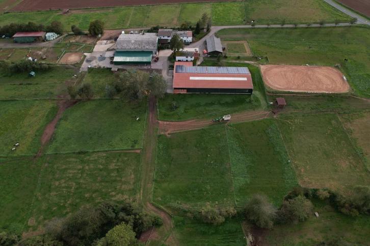 Paardenhouderij aan de Edersee (Duitsland) met rijhal, Dieren en Toebehoren, Stalling en Weidegang