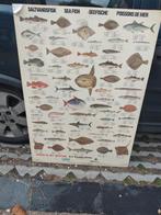 Vis plaat, Antiek en Kunst, Ophalen