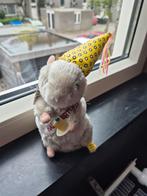 Zeldzame z.g.a.n. Gemmy bewegende en zingende muis, Ophalen of Verzenden