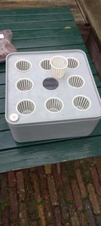 Kweekbak voor kruiden of groente, Tuin en Terras, Kweekspullen, Ophalen of Verzenden, Nieuw, Kweekbak