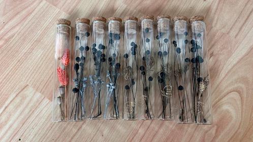 Glazenbuisjes met droogbloemen, Huis en Inrichting, Woonaccessoires | Droogbloemen, Nieuw, Ophalen of Verzenden