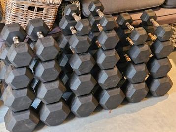 Complete Hexa Dumbbell Set 5 t/m 40 kg beschikbaar voor biedingen