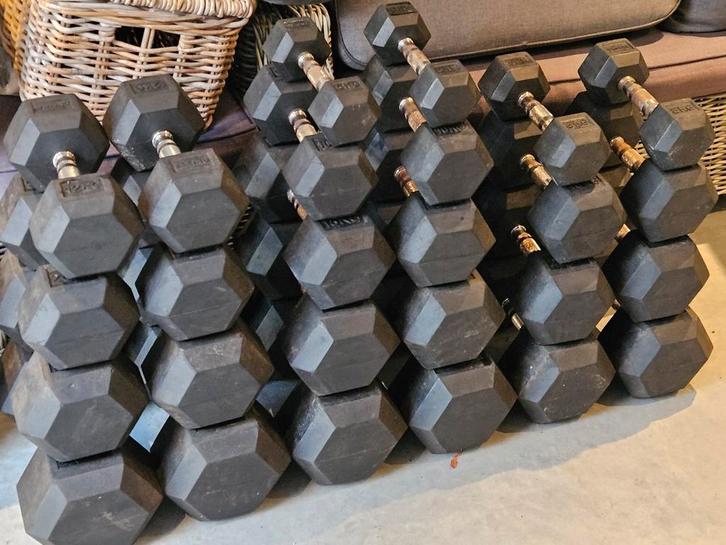 Complete Hexa Dumbbell Set 5 t/m 40 kg, Sport en Fitness, Fitnessmaterialen, Zo goed als nieuw, Dumbbell, Ophalen