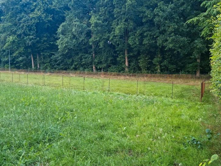 Nieuw! 120 meter betongaas! Maaswijdte 5x5cm hoogte 90/95cm, Tuin en Terras, Tuinhekken en Hekwerk, Zo goed als nieuw, Gaashekwerk