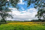 Gezocht weidegang liefst met (schuil)stal in regio Amerongen, Dieren en Toebehoren, Stalling en Weidegang, Weidegang, 2 of 3 paarden of pony's