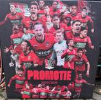 NEC betontegel 60x60, Verzamelen, Sportartikelen en Voetbal, Ophalen, Zo goed als nieuw, Overige binnenlandse clubs, Overige typen