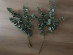 Kunst takken eucalyptus, Ophalen of Verzenden, Zo goed als nieuw