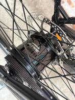 Koga F3 8.0 | Riem | Nieuw | €600 korting | Demo | H50 cm!, Overige merken, Nieuw, 49 tot 53 cm, Ophalen of Verzenden