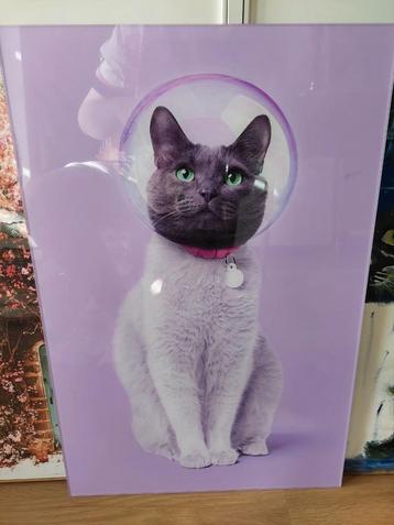 Groot glanzend acrylic space cat schilderij beschikbaar voor biedingen