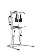 Bowflex BodyTower Krachtstation, Ophalen, Gebruikt, Krachtstation, Metaal