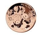 Panda munt, Tickets en Kaartjes, Eén persoon, Overige soorten