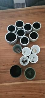 Diverse bloempotjes, Tuin en Terras, Bloempotten, Rond, Ophalen of Verzenden, Zo goed als nieuw, Minder dan 25 cm