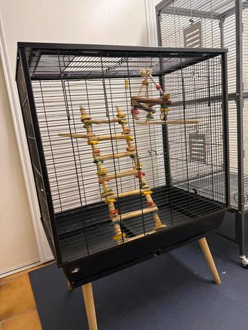 Vogelkooi beschikbaar voor biedingen