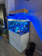Verlichting zee aquarium, aqua illumination 26/32HD, Dieren en Toebehoren, Ophalen of Verzenden, Leeg aquarium