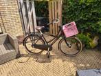 Cortina transportfiets met naafdynamo 50cm frame, Fietsen en Brommers, Fietsen | Dames | Omafietsen, 50 tot 53 cm, Ophalen, Zo goed als nieuw