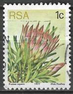 Zuid-Afrika 1977 - Yvert 416 - De echte suikerbos (ST), Verzenden, Zuid-Afrika, Gestempeld