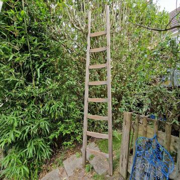 Super mooie ladder voor decoratie binnen of buiten(brocante) beschikbaar voor biedingen