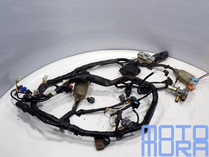 kabelboom voor Honda CB 900 F 2002 - 2007 CB900 CB900F horne, Motoren, Onderdelen | Honda, Gebruikt, Ophalen of Verzenden
