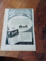Advertentie van Brinta W.A. Scholten Foxhol 1949, Ophalen of Verzenden, Gebruikt, Overige typen