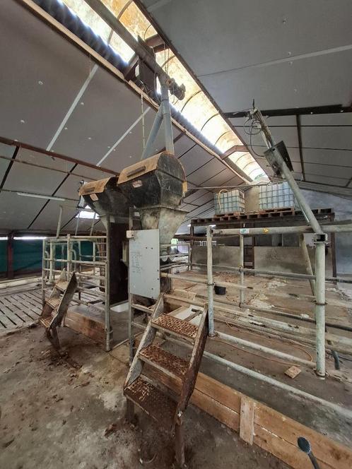 Krachtvoerboxen Hanskamp en Insentec besturingskast, Dieren en Toebehoren, Stalling en Weidegang, Stalling