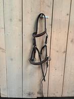 Bitloos hoofdstel X-full, Dieren en Toebehoren, Paarden en Pony's | Hoofdstellen en Tuigage, Ophalen of Verzenden, Zo goed als nieuw