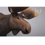Moose Life Size beeld – Eland Lengte 236 cm, Ophalen, Nieuw, Overige typen