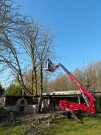 Boomverzorging ETW-tuinruiming-snoeien-frezen-verwijderen, Diensten en Vakmensen, Tuinmannen en Stratenmakers