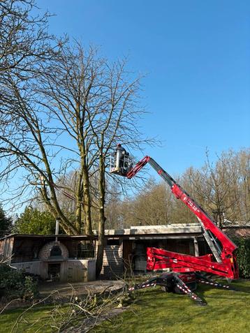  Boomverzorging ETW-tuinruiming-snoeien-frezen-verwijderen beschikbaar voor biedingen