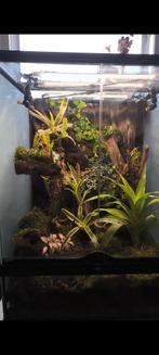 Terrarium Exo terra., Dieren en Toebehoren, Reptielen en Amfibieën | Toebehoren, Ophalen of Verzenden