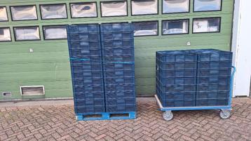 Krat kratten bak bakken 40 x 60 x 15 cm  beschikbaar voor biedingen