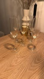 5 schott&zwiesel  Champagneglazen, Ophalen, Nieuw, Overige typen