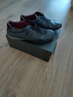 Geox schoenen, Verzenden, Zwart, Geox, Gedragen