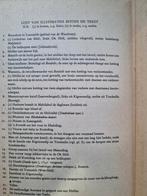 nieuw guinea, Antiek en Kunst, Ophalen of Verzenden