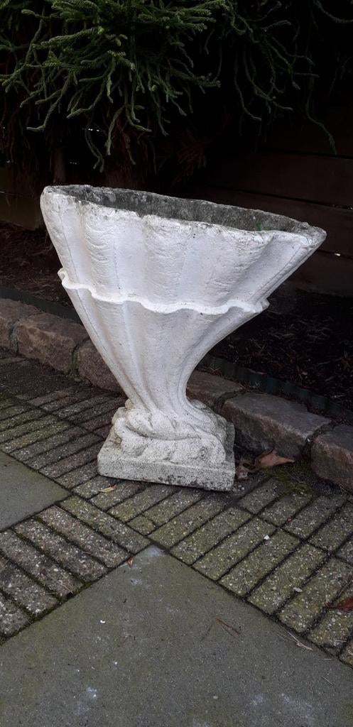 Witte betonnen bloempot in de vorm van een schelp., Ophalen