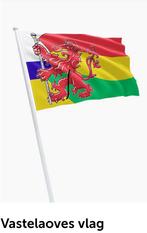 Vaste Laovens vlag, Ophalen of Verzenden, Zo goed als nieuw