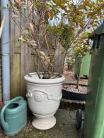 Anduze stijl bloempot voor buiten, Ophalen, Kunststof, Minder dan 30 cm, Rond