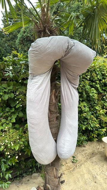 Litollo zwangerschapskussen U vorm 280cm beschikbaar voor biedingen