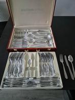 Luxe Bestekset in Koffer 12 delig, Ophalen of Verzenden