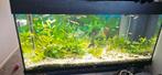 Draaiend aquarium met inhoud. Juwel., Dieren en Toebehoren, Vissen | Aquaria en Toebehoren, Ophalen, Zo goed als nieuw, Leeg aquarium