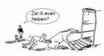 Trailerladen, Dieren en Toebehoren, Paarden en Pony's | Overige Paardenspullen, Ophalen, Nieuw, Overige soorten