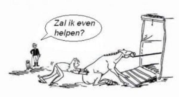 Hulp bij Trailerladen, Dieren en Toebehoren, Paarden en Pony's | Overige Paardenspullen, Nieuw, Overige soorten, Ophalen