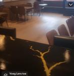 Horecazaak in roosendaal, Zakelijke goederen, Horeca | Food, Ophalen of Verzenden