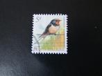 Postzegel Vogel: Boerenzwaluw uit België, Ophalen of Verzenden, Gestempeld, Dier of Natuur