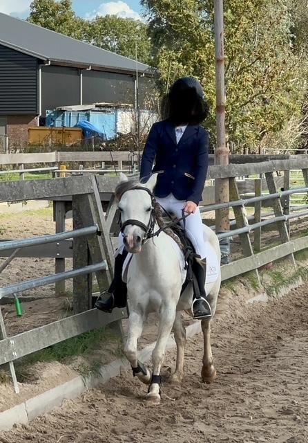 Verzorg pony gezocht!, Hobby en Vrije tijd, Overige Hobby en Vrije tijd, Ophalen of Verzenden