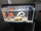 Te koop aquarium 25 liter, Ophalen, Zo goed als nieuw, Leeg aquarium