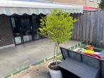 Elektrisch zonnescherm 6x3 meter, Tuin en Terras, Zonneschermen, Gebruikt, 450 cm of meer, Elektrisch, Ophalen of Verzenden
