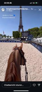 LONGINES PARIS EIFFELJUMP, Tickets en Kaartjes, Twee personen, Juni