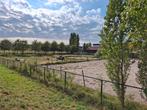 Paddock, stal en weide (Aalsmeerderbrug), Dieren en Toebehoren, Stalling en Weidegang