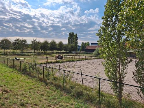 Paddock, stal en weide (Aalsmeerderbrug), Dieren en Toebehoren, Stalling en Weidegang